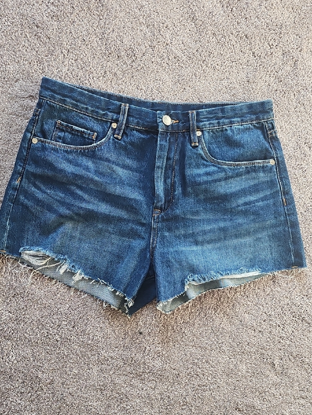 BLANK NYC Classic Dark Blue Denim Cutoff Shorts - Women
